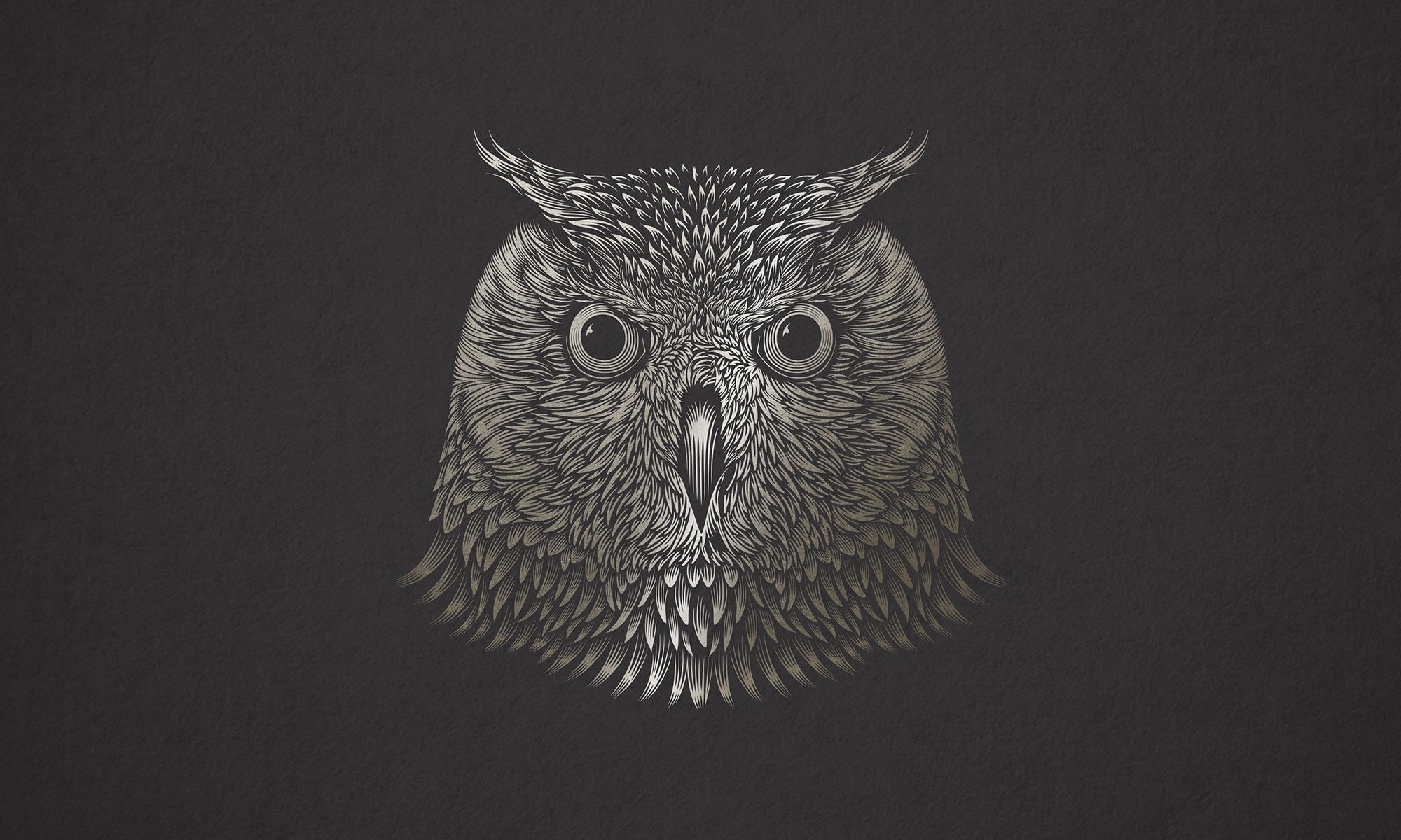Detailed black and white illustration of an owl on a dark background